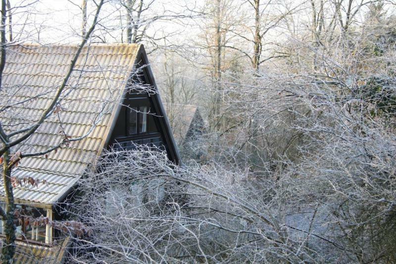 Heerlijk Vakantiehuis In Bos Bij دربي المظهر الخارجي الصورة